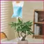 Túi Nhỏ Giọt Cho Cây 3.5L Túi Nước Nhỏ Giọt Ống 39,3 Inch Hệ Thống Tưới Cây Tự Động Có Thể Điều Chỉnh Lưu Lượng shopidaevn