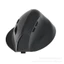 Nguồn Sạc Không Dây Chuột Cầm Tay Dọc Công Thái Học Bluetooth Không Dây Chuột Dọc Im Lặng