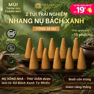Combo 2 Túi Nhang Nụ Bách Xanh (Tổng 10 nụ) | Gỗ Bách Xanh Tự Nhiên | Ít Khói | Xông Nhà - Thư Giãn