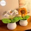 Hodou Móc Hoa Hướng Dương Nhân Tạo Chậu Tay Dệt Cây Quà Cưới Cho Khách Trang Trí Hoa Hướng Dương Trang Trí Phòng VN