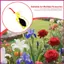 Dụng cụ nhân tạo làm vườn Pollinator rau củ phấn hoa cho cà chua Cucumber Tree Flower Garden shopidaevn
