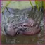 Hippo Head Garden Tượng Nhựa Trang Trí Chống Thấm Nước Điêu Khắc Thực Tế Hippo Điêu Khắc Trang Trí Ngoài Trời Cho shopidaevn