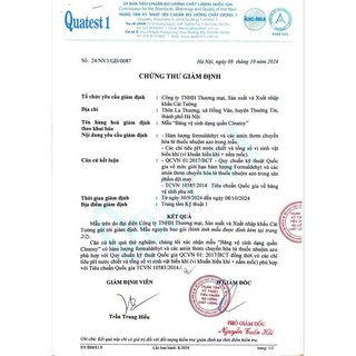 5 Miếng Băng VS quần Cleansy chính hãng chống tràn ,thấm hút nhanh Size  M-L( 75cm-120cm)