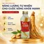 Nước Hồng Sâm Wonkisam Hàn Quốc Hộp 10 Chai, Bồi Bổ Cơ Thể Giảm Mệt Mỏi, Căng Thẳng Cho Mọi Người