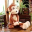 Búp Bê Khỉ Dài Tay Dễ Thương Khỉ Nhỏ Trẻ Em Ragdoll Gối Dài Chân Búp Bê Đồ Chơi Sang Trọng Miễn Phí Quà Tặng Sinh Nhật 260604