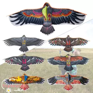 TOPTOOLCX Eagle Diều, Quà Tặng 30 Mét Diều Dòng Chim Diều, Thời Trang Đa Phong Cách Dẹt 1,1m Bay Diều Ngoài Trời
