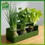 SWEET Green Onion Planter Hydroponic Growing Kitpact Hệ thống làm vườn tại nhà cho ban công nhà bếp Dễ dàng trồng rau n
