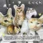 Tùy Chỉnh Gối Không Có Cạnh Trắng Hình Người Ngoài Hành Tinh Xấu Xí Mèo Con Chân Dung Anime Truyện Tranh Sofa Đệm Gối Quà Tặng Cùng Phong Cách
