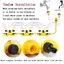 "Vòi Phun Nước Tưới Cây Tự Động 360°, Điều Chỉnh 45-90°, Chất Liệu ABS Bền, Lý Tưởng Mùa Hè."