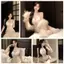 Pure Desire Style Super Sexy Hot Girl Wear Set Ren xuyên thấu Gạc khâu Body Bộ đồ ngủ gợi cảm