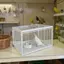 AA 30 / 40 / 50cm Bẫy Cửa Cho Bồ Câu Loft Đua Pigoen Lồng Cửa Dove Lối Vào Bẫy Cửa Có Khung VN