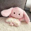 Spike Giá Túi Đậu Giải Nén Pinching Làm Dịu Búp Bê Bé Voi Sanhua Len Nhỏ Sang Trọng Đồ Chơi Chữa Bệnh Series Búp Bê Cô Gái Quà Tặng