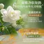✨Cửa hàng được đề xuất✨O 'Galini Xà Phòng Jasmine Loại Bỏ Mite Xà Phòng Kiểm Soát Dầu Làm Sạch Sâu Loại Bỏ Mụn Đầu Đen Rửa Tay Rửa Mặt Tắm 5.23