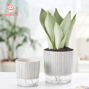 PWSSEND Chậu trồng cây mọng nước, Chậu cây xanh trong suốt tự tưới cây, Trang trí cây cảnh tại nhà đơn giản với hộp đựng nước Chậu hoa lười Đồ dùng làm vườn