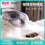 Mặt nạ thú cưng chống sốc Chất liệu 4 lớp Bảo vệ chó Muzzle Đi chơi Đồ dùng cho thú cưng Mặt nạ chó chống PM2.526060513