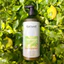Dầu gội xả chanh gừng dưỡng sinh Karseell Ginger sạch gàu dầu, giảm rụng thư giản da đầu 800mlx2 [ MK ]