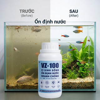 VZ-100 Vi Sinh Sống Làm Nước Trong Nhanh Chóng - Phân Huỷ Chất Hữu Cơ Ổn Định Môi Trường Nước