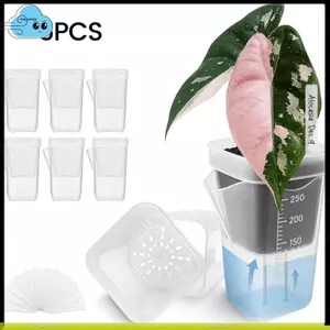 6 Cái Cân Tự Tưới Nước Nồi Mầm Non Nhựa Mờ