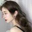 Móc tai có cánh Zircon không cần xỏ khuyên cho bông tai kẹp sụn sành điệu