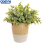 <cosyh>Plastic Artificial Eucalyptus Greenery for Wedding Decoration Home and Craft Use