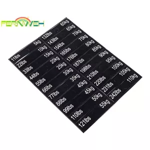 1 Tờ Thiết Bị Tập Gym Trọng Lượng Stier Nhãn Thiết Bị Nguồn [MỚI]