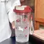 Bình Nước Anh Đào Dễ Thương 580Ml Dành Cho Học Sinh Cốc Nhựa Di Động Ống Hút Đôi Cho Ký Túc Xá Trường Học Du Lịch Dã Ngoại VN