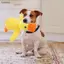 Luckyew Đồ chơi cho chó Tough - Squeaky Sang trọng cho chó nhỏ & Đồ chơi nhai không thể phá hủy cho các giống lớn, Đồ chơi cho chó con mọc răng TQ
