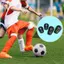 XOITOP 1 Cặp Shin Guards dành cho người lớn Thanh niên Bóng đá Bóng đá Miếng đệm nhẹ để tập luyện và trận đấu VN