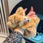 Dễ Thương Sang Trọng Mèo Con Dây Buộc Tóc Hoạt Hình Ngọt Ngào Đuôi Mèo Scrunchies Dây Tóc Mặt Sau Đầu Băng Đô Phụ Kiện Tóc saixit2vn
