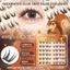 Lông mi giả không keo phân đoạn C Curl Lông mi sợi mềm tự nhiên để sử dụng hàng ngày và chụp ảnh