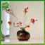 SWEET Hình dạng độc đáo Bình thủy tinh lựu trong suốt Bình hoa thủy canh trang trí màu đỏ Bình thủy canh Bình thủy tinh treo tay Trang trí đám cưới n