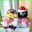 PS1 Sanrio Hello Kitty Cinnamoroll MY MELODY Nhật Bản sushi sang trọng túi mặt dây chuyền quà tặng cho trẻ em SP1