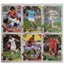 Liên Minh Châu Âu Bóng Đá Ngôi Sao Thẻ World Cup Thẻ Ngôi Sao Hàng Hóa Thẻ Tiếng Anh Laser Flash Card Solitaire