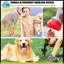 10 Cuộn Chó Poop Dùng Một Lần Cho Thú Cưng Túi Chất Thải Thiết Kế Chó Poop Thú Cưng Sạch Nhặt Túi Xương Dụng Cụ phân phối