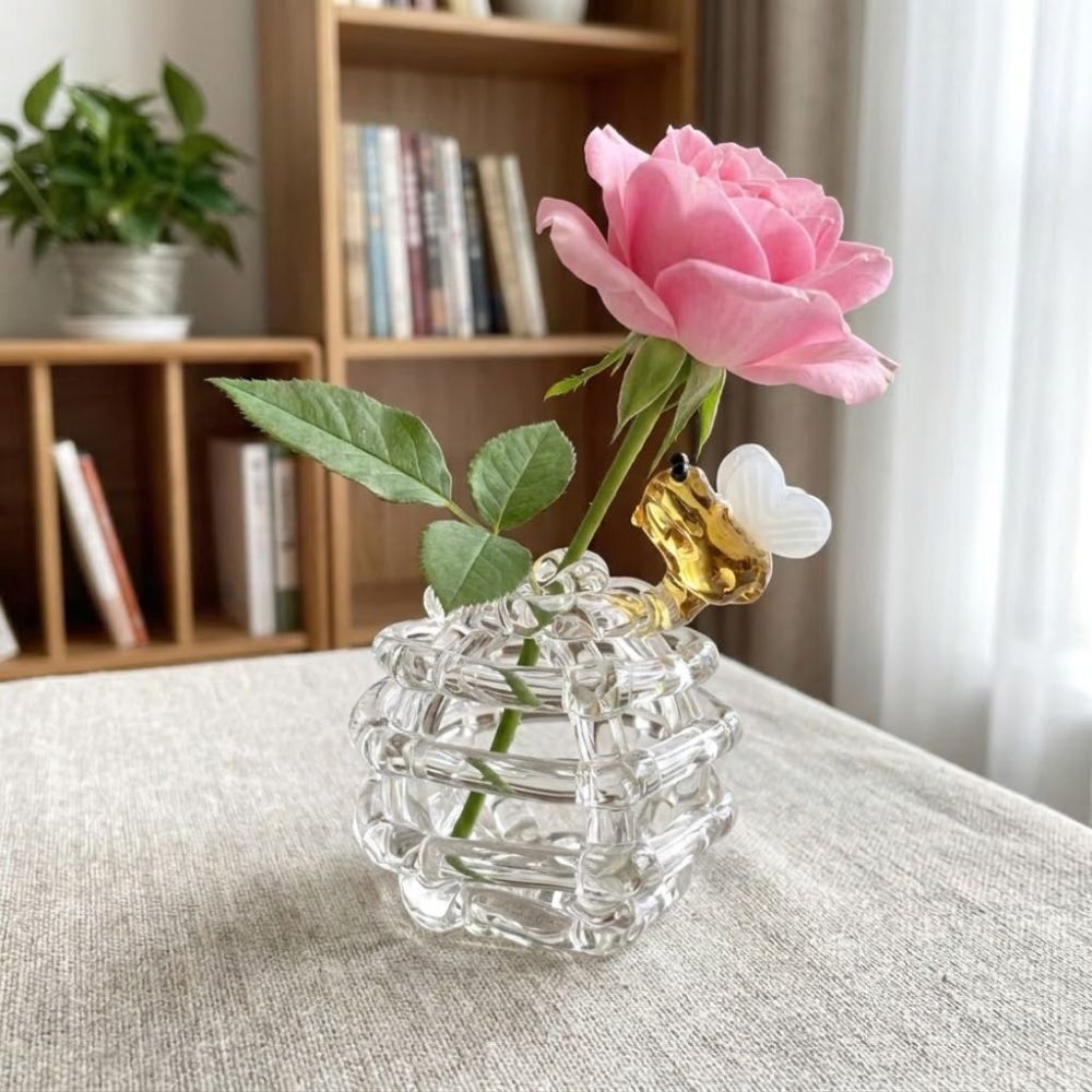 Bình bi thủy tinh nhỏ DONOVANQQ, bình hoa thủy canh Zen trong suốt, đế độc đáo, bình cắm hoa trang trí nội thất