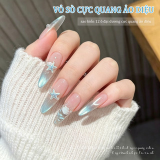 Miss Gooey Bộ hộp vỏ sò ánh cực quang biển cả – phụ kiện trang trí móng tay mùa hè ngôi sao biển cây dừa ốc biển hiệu ứng băng trong suốt lung linh