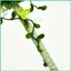 Máy Làm Sạch Ống Hoa Thủ Công Tương Tác Sáng Tạo Đồ Chơi Nhân Tạo Hoa Thủ Công Ống Bụi Bộ Cho Bé Trai sonlekvn