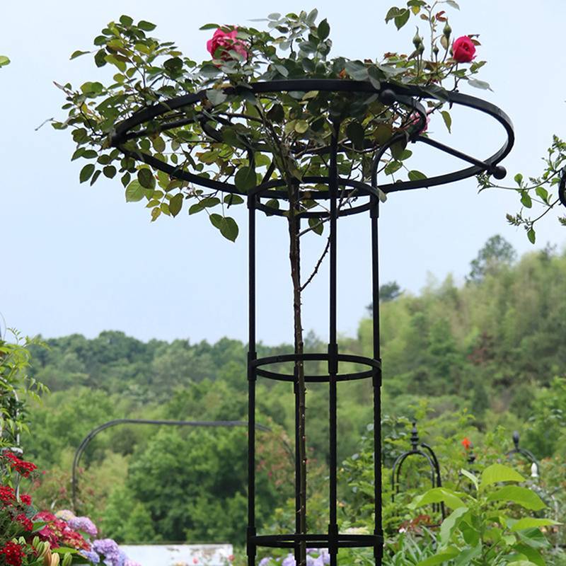 Springevenstar giàn leo cây vườn dạng dù, hỗ trợ cây leo, tự lắp DIY, phù hợp chậu hoa, Springevenstar