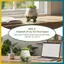 Chậu trồng cây xương rồng quyến rũ BVY 9x10cm kèm nụ cười và chân để trang trí nhà đương đại.