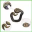 Đồ Chơi Rắn Vòng Tay PVC Mô Phỏng Rắn Dây Đeo Tay Thực Tế Boa Vòng Tay Cho Halloween Cosplay Đảng Pranks saixit2vn