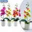 <cosyh>Artificial Phalaenopsis Orchid Long-Lasting Elegant Home Decor For Desk
