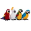 < Pluscloth > Đồ chơi sang trọng Họa tiết vẹt thoải mái PP Cotton Đồ trang trí đồ chơi sang trọng cho gia đình