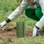 VVDZA Sapling Tree Cover, Xanh Dày Thân Cây Bảo Vệ, Cao Cấp Có Khóa PP Có Thể Điều Chỉnh Bảng Cây Sân Vườn Cảnh Quan Ngoài Trời