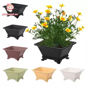 Chậu hoa bốn mặt PWSEND, Chậu hoa dày đầy màu sắc bền bỉ, Sáng tạo DIY giả đất sét tím Cây cảnh khay Chậu gia đình