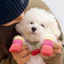 Chân Chó Che Đế Mềm Chống Trơn Trượt Chống Thấm Nước Tất Thú Cưng Teddy Bichon Chó Nhỏ Chống Mài Mòn Thoáng Khí Chống Bẩn Giày26060301