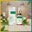 BVY South Moon Ear Ringing Giảm Giọt Tai 20ml Công thức tự nhiên để giảm ù tai và đau tai.