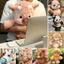 < Pluscloth > Đồ chơi nhồi bông bò cao nguyên 45cm Động vật nhồi bông mềm Gối gấu trúc dễ thương Quà tặng sinh nhật cho trẻ em Người lớn Trang trí văn phòng tại nhà Đồ chơi ôm ấm cúng Anim nhồi bông di động
