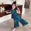 ✿ Trẻ em Trung Quốc Hanfu Trang phục truyền thống cho trẻ em Bộ quần ống rộng không tay in hoa cho bé gái