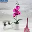 <cosyh>Artificial Phalaenopsis Orchid Long-Lasting Elegant Home Decor For Desk