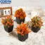 <cosyh>Fall Themed Artificial Plants Set of 4 Small Faux Plants for Desk Bathroom Decor